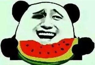 吃瓜有理报料无罪